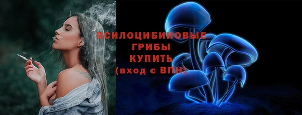 хмурый Алексеевка