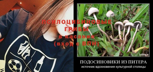 сатива Остров